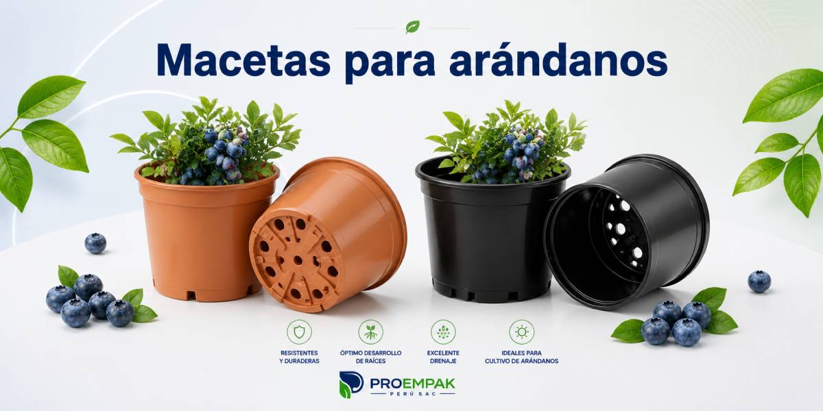 Clamshell para frutas